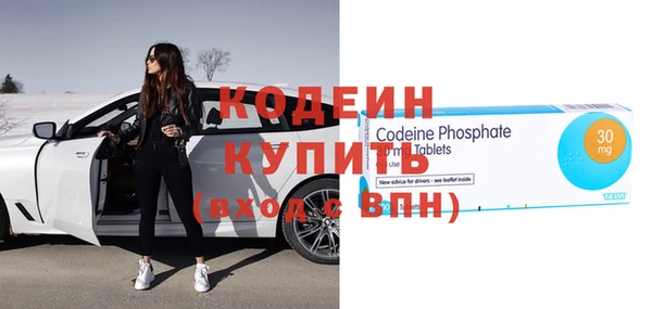 хмурый Арсеньев