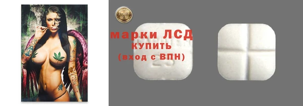 хмурый Арсеньев