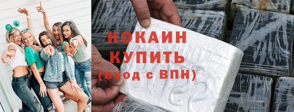 хмурый Арсеньев