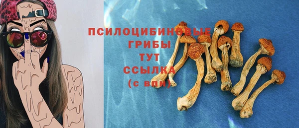 стаф Армянск