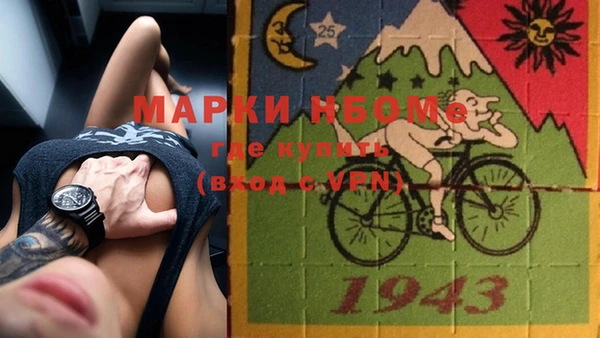 хмурый Арсеньев
