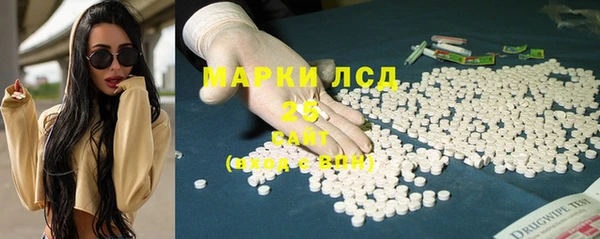 хмурый Арсеньев