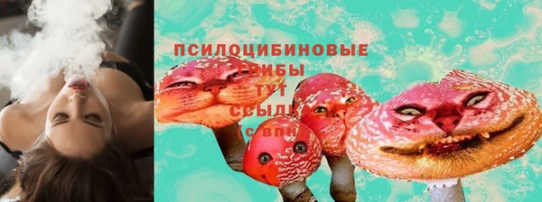 хмурый Арсеньев